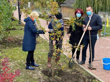 Startul acțiunii de plantare a fost dat în zona de agrement Tătărași, unde au fost plantați 360 de copaci - stejari, plopi, salcâmi