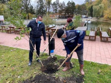 Startul acțiunii de plantare a fost dat în zona de agrement Tătărași, unde au fost plantați 360 de copaci - stejari, plopi, salcâmi