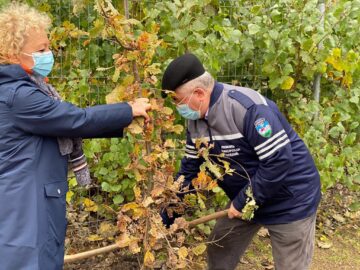 Startul acțiunii de plantare a fost dat în zona de agrement Tătărași, unde au fost plantați 360 de copaci - stejari, plopi, salcâmi