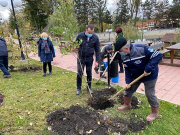 Startul acțiunii de plantare a fost dat în zona de agrement Tătărași, unde au fost plantați 360 de copaci - stejari, plopi, salcâmi