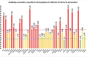 Incidența cazurilor pozitive la nivel național