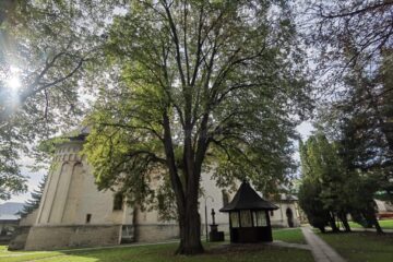 Biserica Ortodoxă Română face recomandări in privinta alegerilor parlamentare