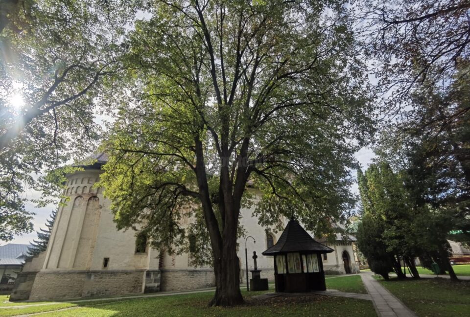 Biserica Ortodoxă Română face recomandări in privinta alegerilor parlamentare