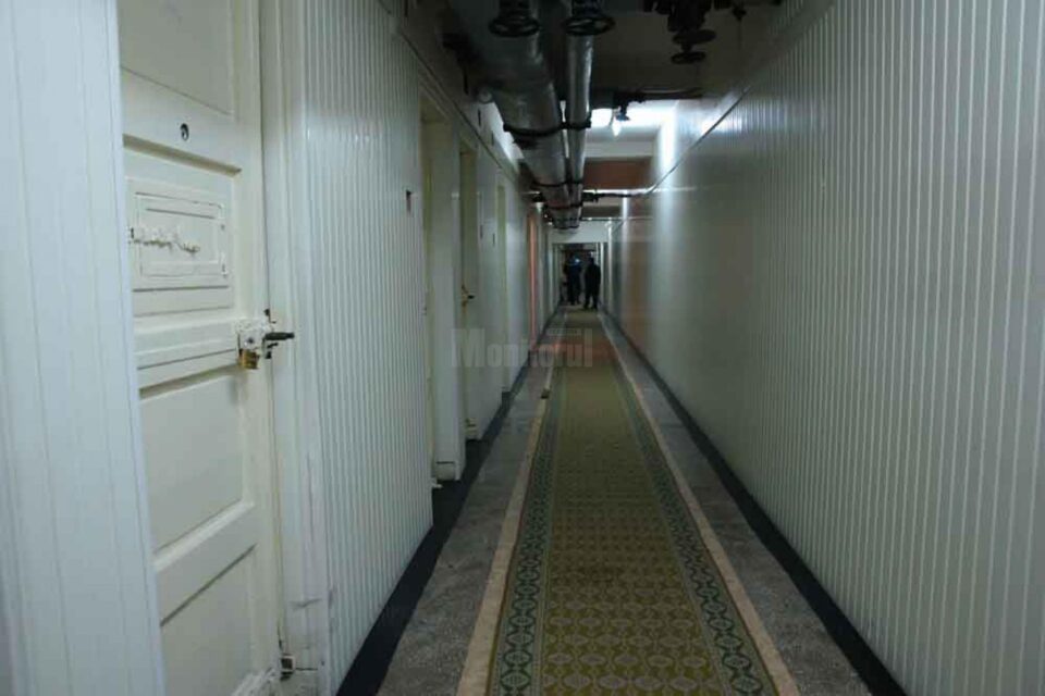 Au plecat cu lemnul furat din pădure, amenințându-i cu topoarele pe silvicultori