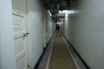 Au plecat cu lemnul furat din pădure, amenințându-i cu topoarele pe silvicultori