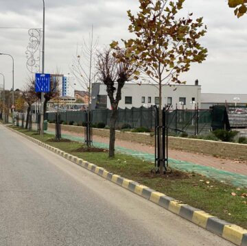 100 de platani și sute de alți arbori, plantați la bulevardele principale