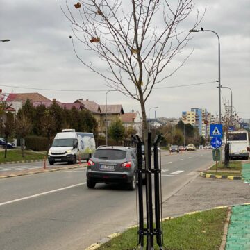 100 de platani și sute de alți arbori, plantați la bulevardele principale