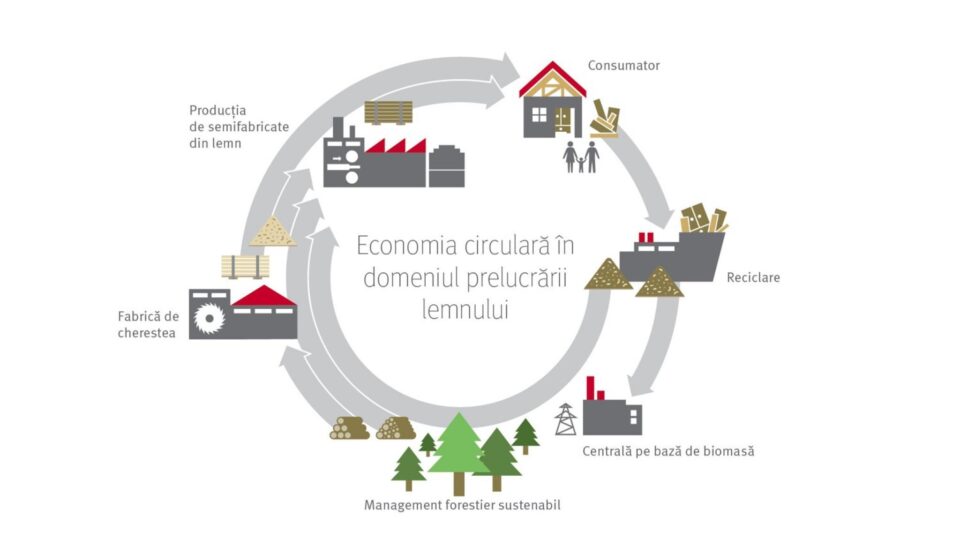 Economia circulară