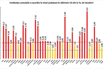Incidenta cazurilor pozitive la nivel national