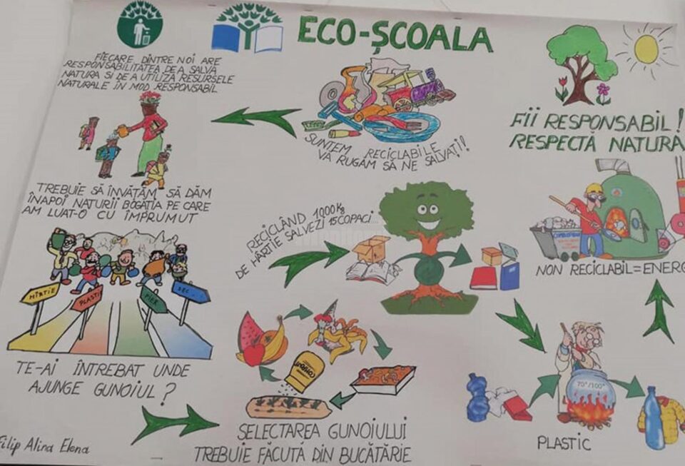 28 de echipe sucevene, recompensate cu „Steagul Verde”
