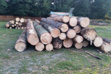 Transportatori de lemn amendați, după ce au încercat să păcălească vigilența polițiștilor