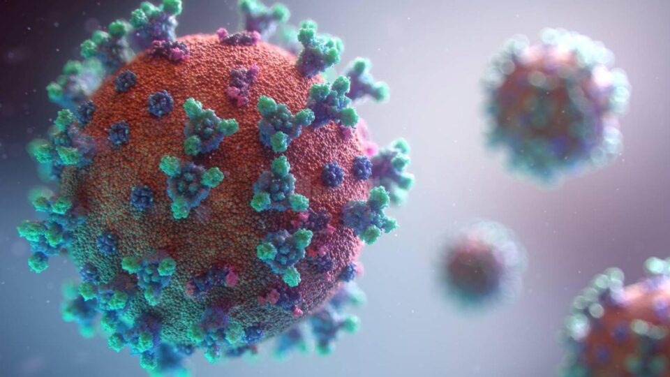 Peste 9500 de suceveni sunt vindecați de noul coronavirus