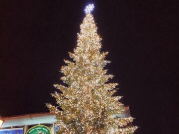 Municipiul Suceava, pregătit de sărbătorile de iarnă, cu mii de decorațiuni luminoase 4