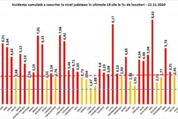Incidenta cazurilor pozitive la nivel national