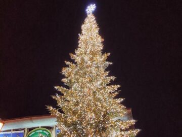 Municipiul Suceava, pregătit de sărbătorile de iarnă, cu mii de decorațiuni luminoase