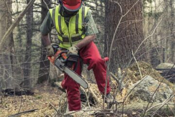 Patron acuzat de un lucrător că l-a forțat să nu declare un accident suferit în pădure