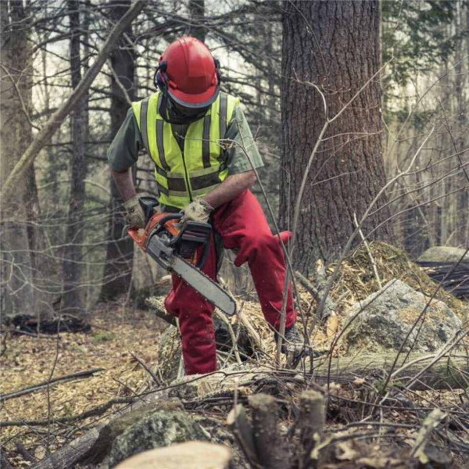 Patron acuzat de un lucrător că l-a forțat să nu declare un accident suferit în pădure Patron acuzat de un lucrător că l-a forțat să nu declare un accident suferit în pădure