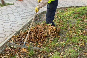 Ridicarea deșeurilor vegetale se face separat de cea a gunoiului menajer, fără costuri suplimentare