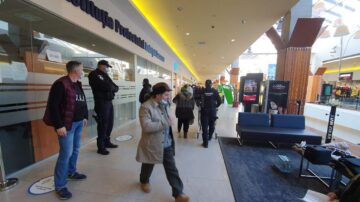 Între 5.000 și 7.000 de euro pentru obținerea unui permis în Suceava