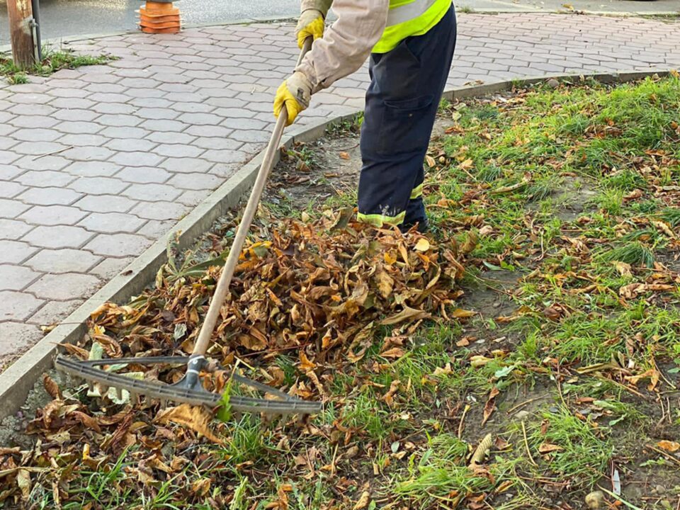 Program de colectare a deșeurilor vegetale din Suceava, pe cartiere