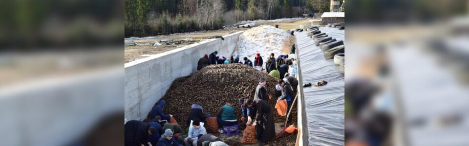 Arhiepiscopia Sucevei a donat 20 de tone de cartofi spitalelor din Rădăuți, Fălticeni, Siret, Câmpulung Moldovenesc, dar și Mănăstirii Râșca