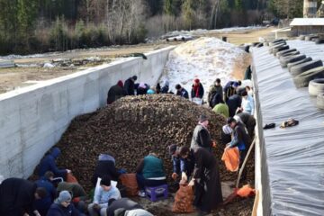 Arhiepiscopia Sucevei a donat 20 de tone de cartofi spitalelor din Rădăuți, Fălticeni, Siret, Câmpulung Moldovenesc, dar și Mănăstirii Râșca