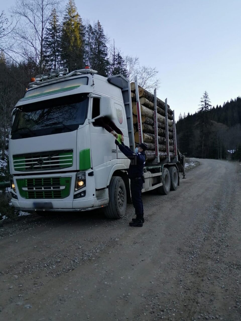 transport lemne transport lemne