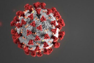 Scădere a numărului de îmbolnăviri cu noul coronavirus în județul Suceava