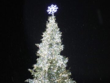 Luminile de sărbătoare din bradul de Crăciun și în centrul Sucevei, decorat feeric, cu mii și mii de luminițe 2