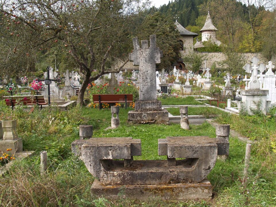 În memoriam Petru Comarnescu