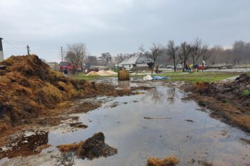 125 de tone de furaje au ars într-un puternic incendiu