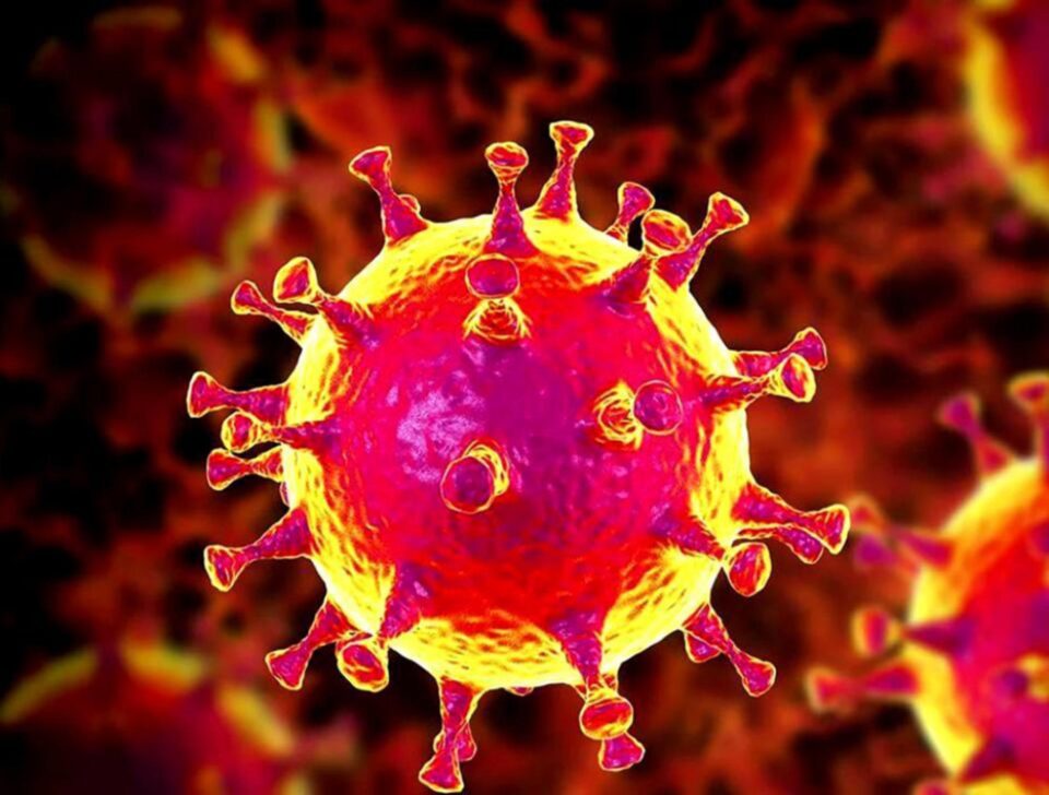 11 suceveni infectați cu noul coronavirus au murit în ultimele două zile Foto libertatea.ro 11 suceveni infectați cu noul coronavirus au murit în ultimele două zile Foto libertatea.ro