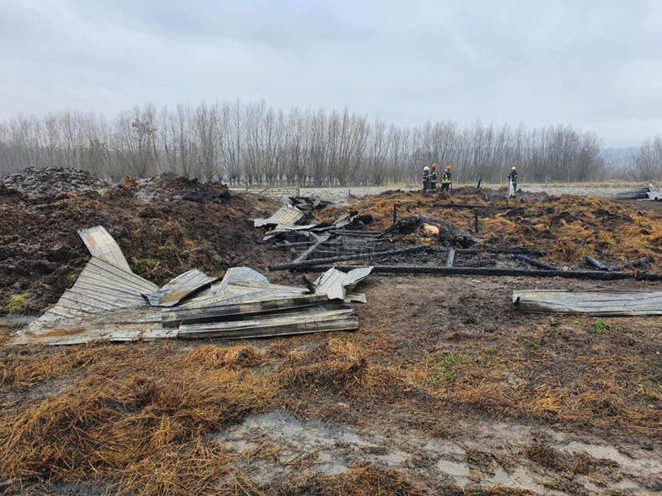 Șase oi și un cal au murit și 125 de tone de furaje au ars într-un puternic incendiu