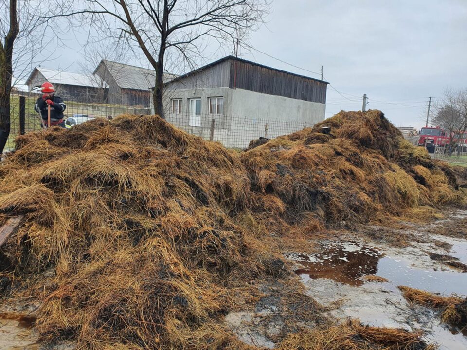 Șase oi și un cal au murit și 125 de tone de furaje au ars într-un puternic incendiu