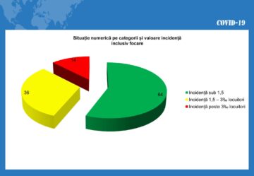 Situație numerică pe categorii și valoare incidență inclusiv focare