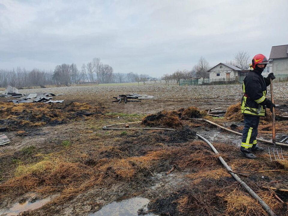 Șase oi și un cal au murit și 125 de tone de furaje au ars într-un puternic incendiu