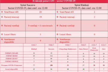 Evidență paturi ATI - sector Covid