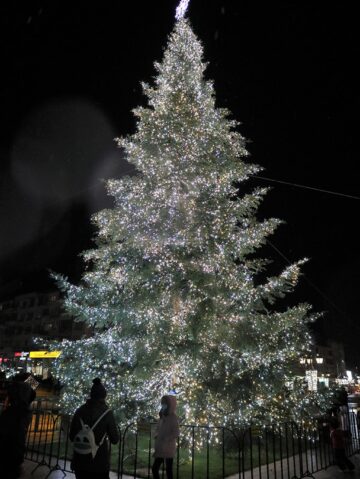 Aprinderea luminilor de sărbătoare în centrul Sucevei, odată cu prima ninsoare