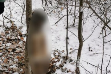 Câine spânzurat în pădure, după un conflict între vecini