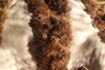 Niculai și Daniela Zaharia – Ostra