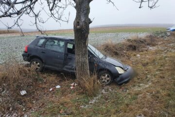 Soferul a pierdut controlul masinii, care s-a izbit violent de un arbore