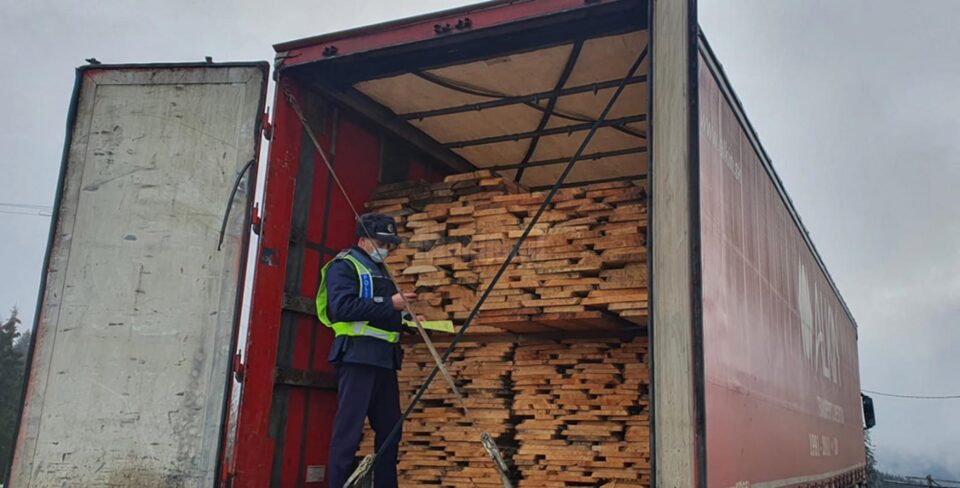 Filtre rutiere pentru depistarea transporturilor ilegale de material lemnos și pomi de Crăciun