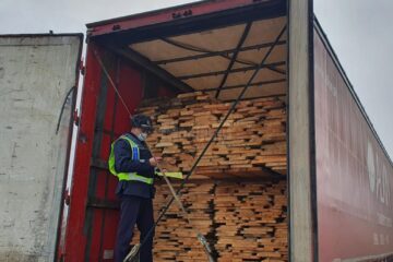 Filtre rutiere pentru depistarea transporturilor ilegale de material lemnos și pomi de Crăciun Filtre rutiere pentru depistarea transporturilor ilegale de material lemnos și pomi de Crăciun