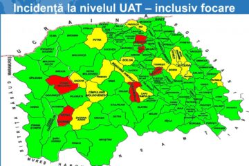 Incidența cu focare