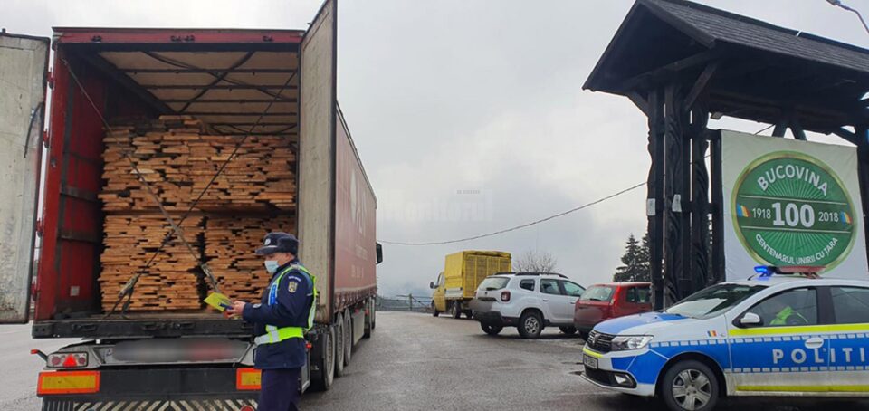 Filtre rutiere pentru depistarea transporturilor ilegale de material lemnos și pomi de Crăciun