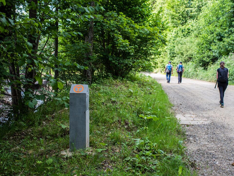 Adoptă kilometri pe Via Transilvanica din Bucovina!