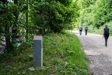 Adoptă kilometri pe Via Transilvanica din Bucovina!