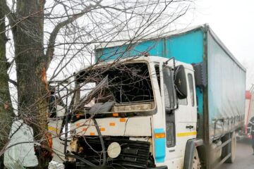 Autocamionul scapat de sub control s-a izbit in copacul de la marginea drumului