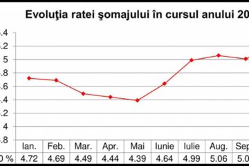 Evoluție șomaj