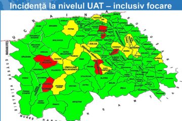 Două orașe și șapte comune au ieșit de sub restricțiile suplimentare pentru Covid